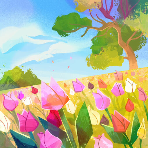 Tulip Garden