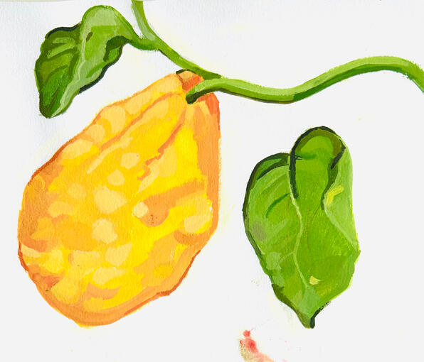 Study #2